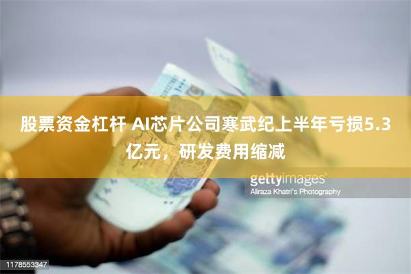 股票资金杠杆 AI芯片公司寒武纪上半年亏损5.3亿元，研发费用缩减