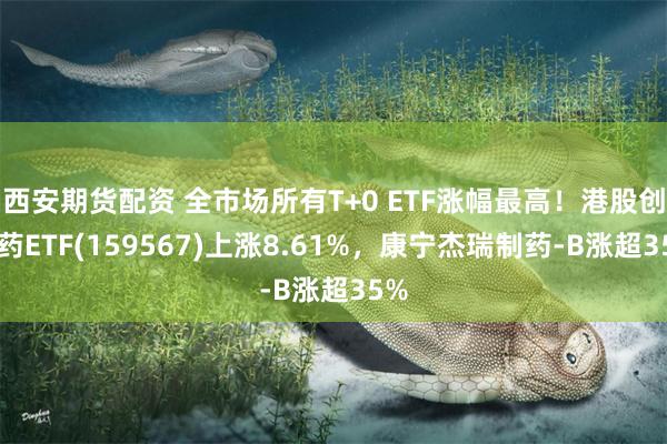 西安期货配资 全市场所有T+0 ETF涨幅最高！港股创新药ETF(159567)上涨8.61%，康宁杰瑞制药-B涨超35%