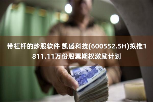 带杠杆的炒股软件 凯盛科技(600552.SH)拟推1811.11万份股票期权激励计划