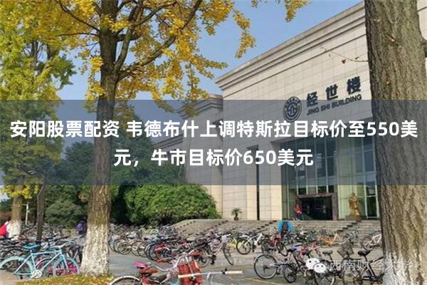 安阳股票配资 韦德布什上调特斯拉目标价至550美元，牛市目标价650美元