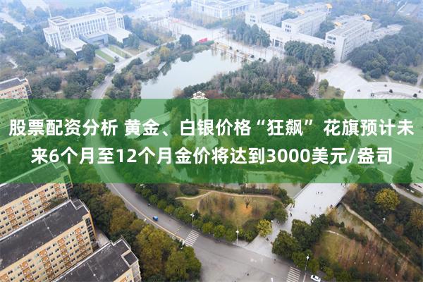 股票配资分析 黄金、白银价格“狂飙” 花旗预计未来6个月至12个月金价将达到3000美元/盎司