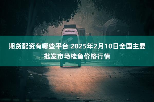 期货配资有哪些平台 2025年2月10日全国主要批发市场桂鱼价格行情