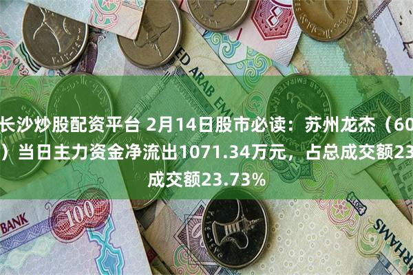 长沙炒股配资平台 2月14日股市必读：苏州龙杰（603332）当日主力资金净流出1071.34万元，占总成交额23.73%